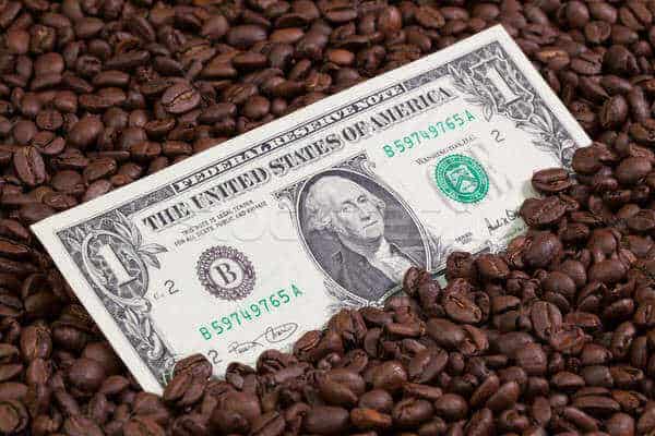 Café e o Dólar – Operações a Termo e Pontos