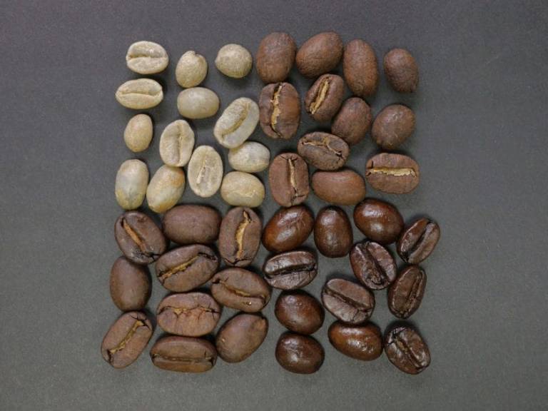 Classificação do café por tipo, bebida e peneira