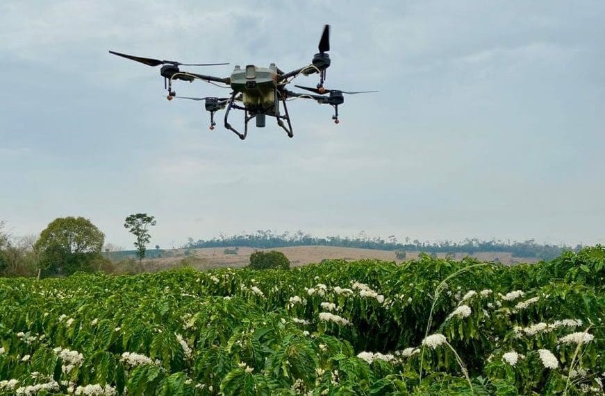 Drone voando acima de uma plantação de café no Brasil